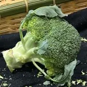 【値引交渉可】ちょーみりょうの画像