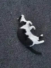 lem即購入◎の画像