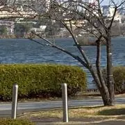 まさっぺやんの画像