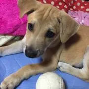 ともちん