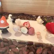 こはるの画像