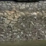 イージーの画像