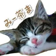 み―茶ま(^^まとめ割引有ります♪)の画像
