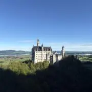 まむの画像