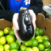 ベジタブルの画像