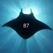 87mantaの画像