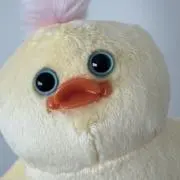 むーの画像