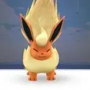 ハリーの画像