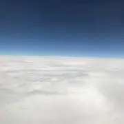 ちゃあの画像