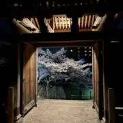 MURU‼️プロフ必読‼️の画像