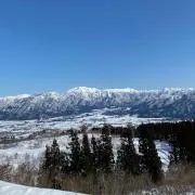 せち