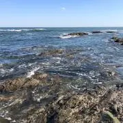 Sの画像
