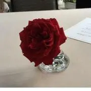 かおりの画像