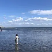 colorfulの画像