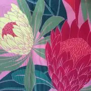 pinkyの画像