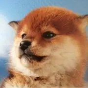 グラコロ
