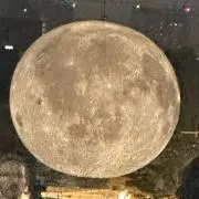 みの画像