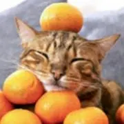 みかん