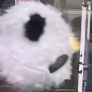 こ あの画像