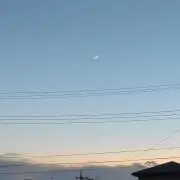 こよた