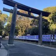 ところてんの画像