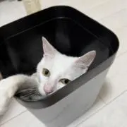 あ