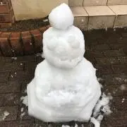 Syuyuの画像