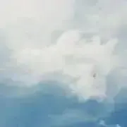 りりの画像