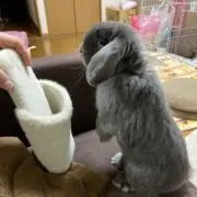 まさ