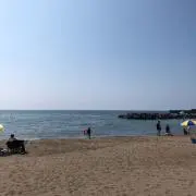 ○かか○の画像