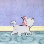 minの画像