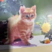 アトムの画像