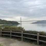 ニジの画像