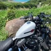 xl1200x