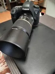 ミラの画像