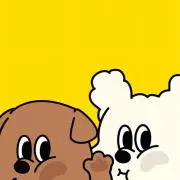 ズッキーニの画像