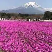 ☆まさみん☆の画像