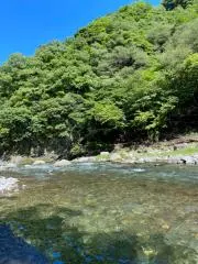 タニタ