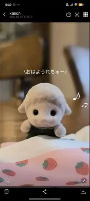 3939☆の画像