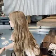 HALOの画像
