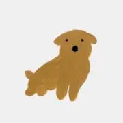 Rinの画像