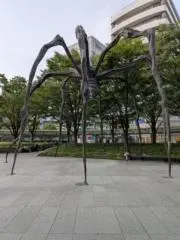 おうるの画像