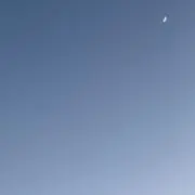 かつお