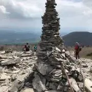 エリリの画像