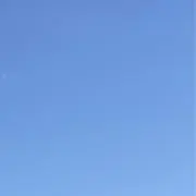 にこちゃん【プロフ必読】の画像