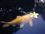 王迪の画像