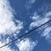 おかの画像