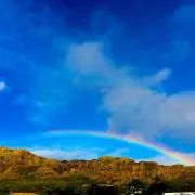 ＊Friend of the Earthの画像