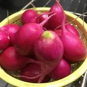 wagashiの画像