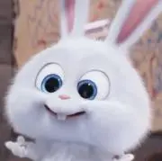 ゆんの画像